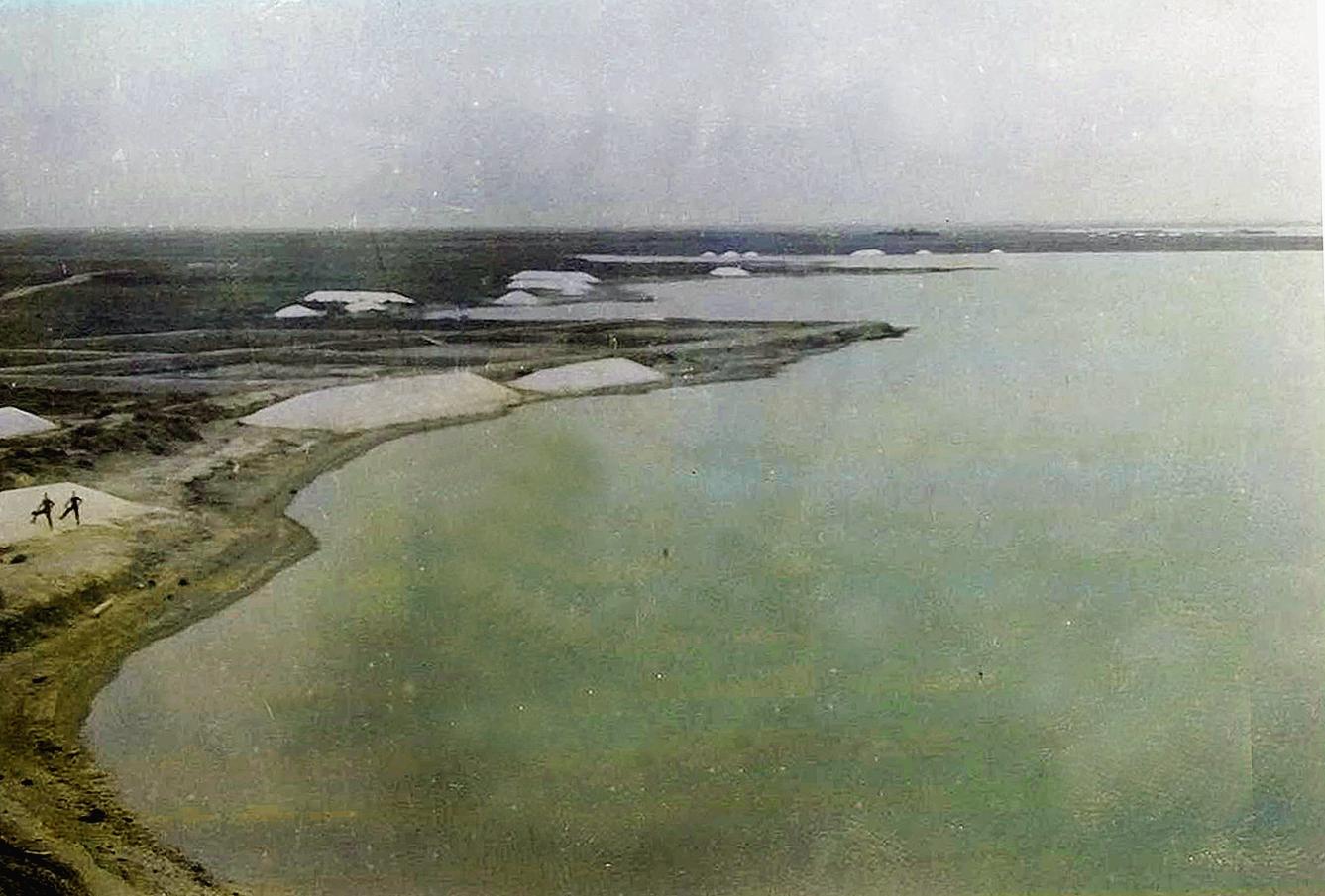Vista aérea de la costa Sur de Epecuén.
