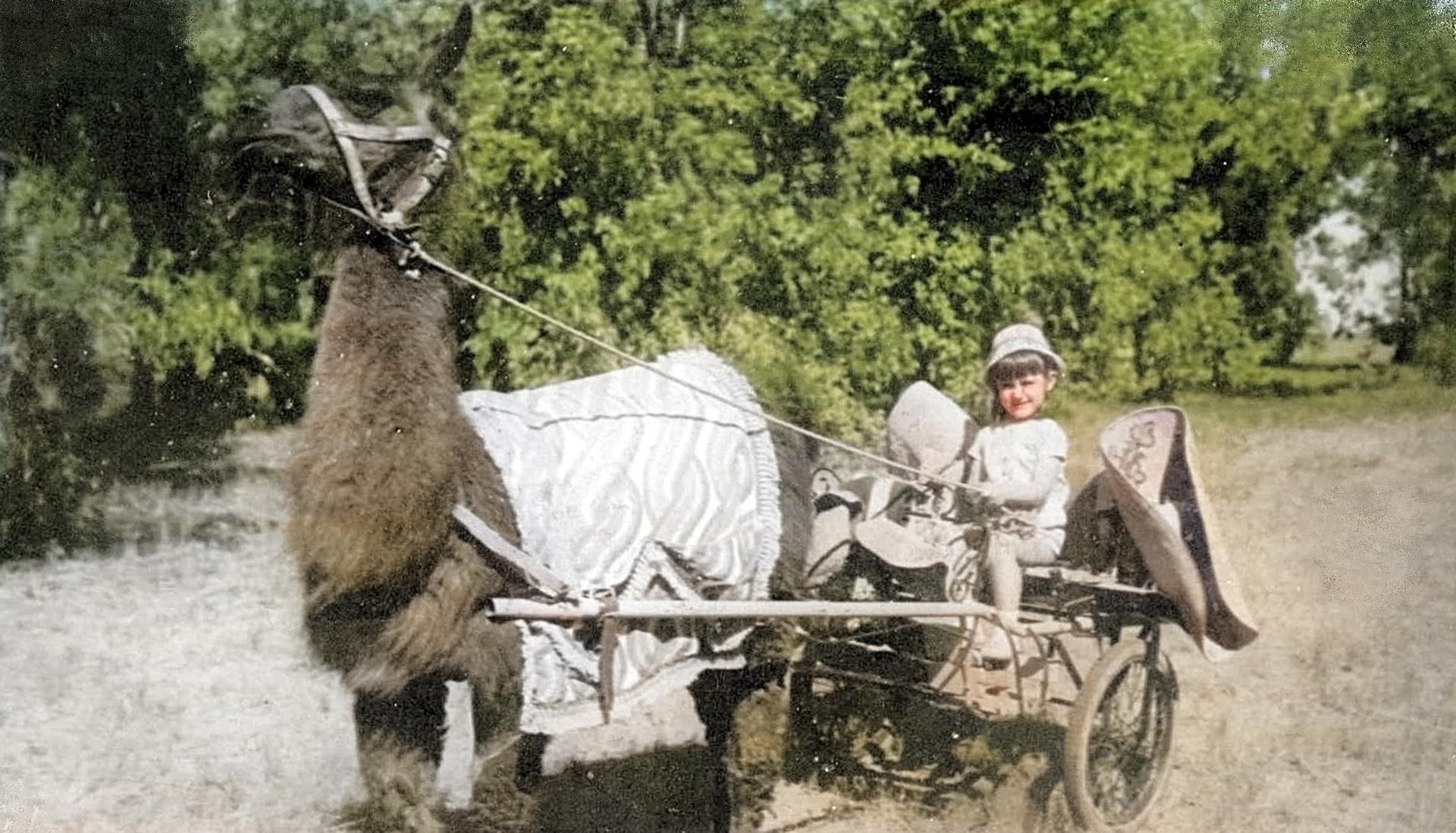 Dias Playa coloreada- (1)